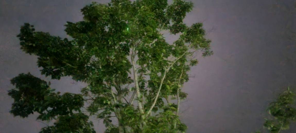 20250811_035852.jpg