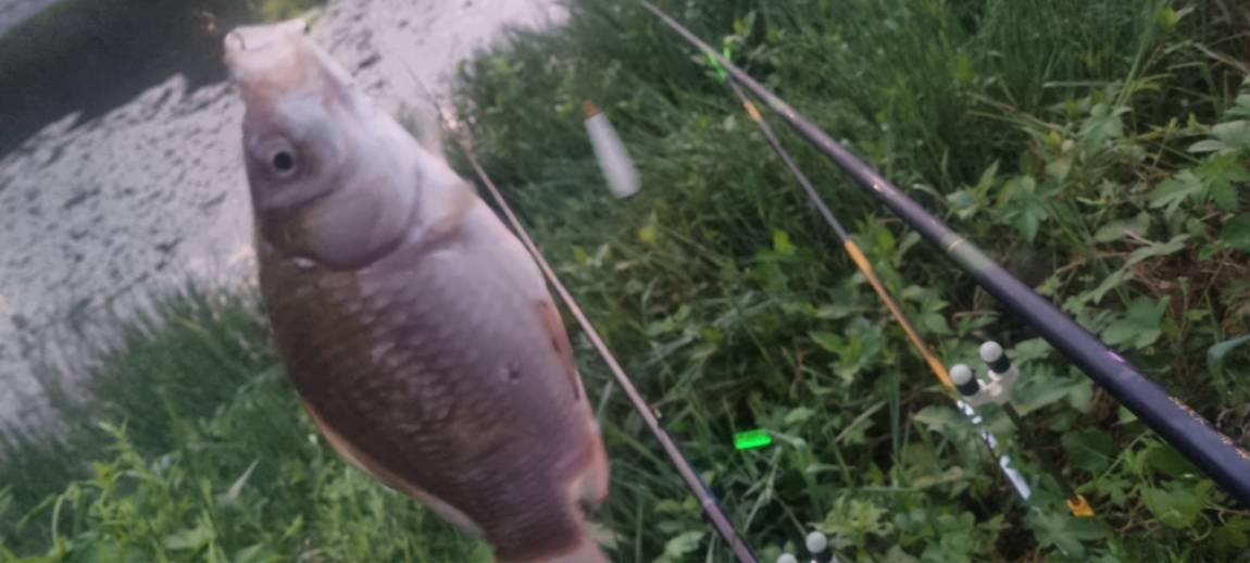 20250811_052335.jpg