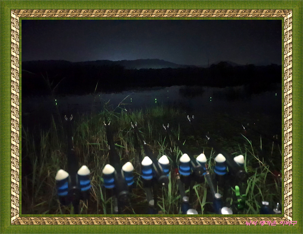 20250828_000908.jpg