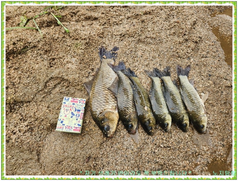 Screenshot 2025-09-02 at 19.24.51.JPG