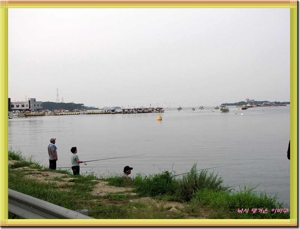 IMG_9133.jpg