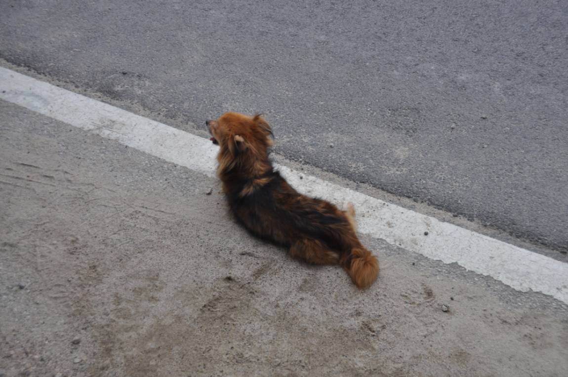 DSC_0044.JPG