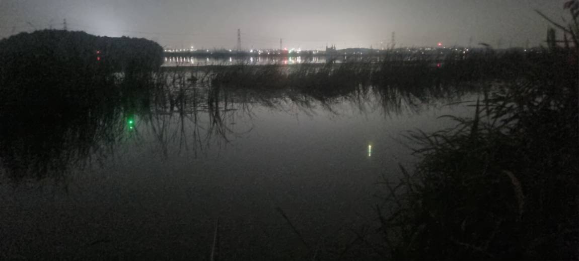 20251002_194830.jpg