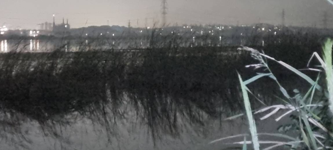 20251002_203728.jpg
