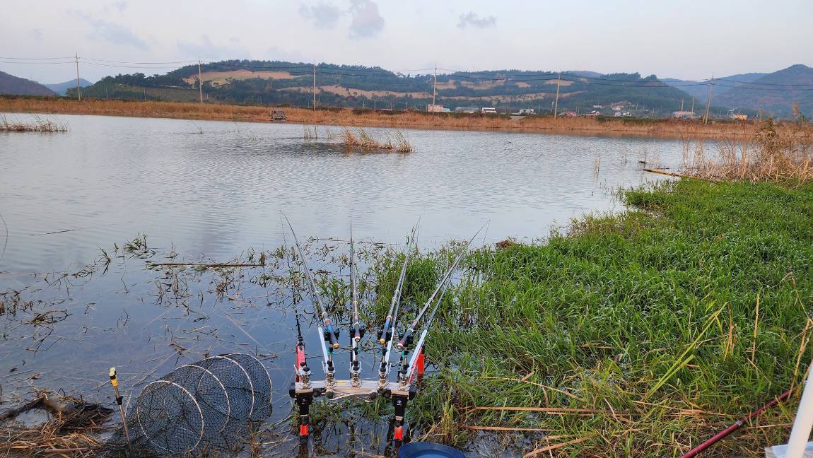 1000033064 (1)12.jpg