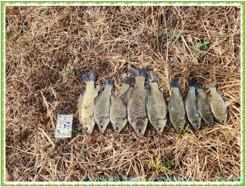 Screenshot 2025-11-17 at 17.55.57.JPG