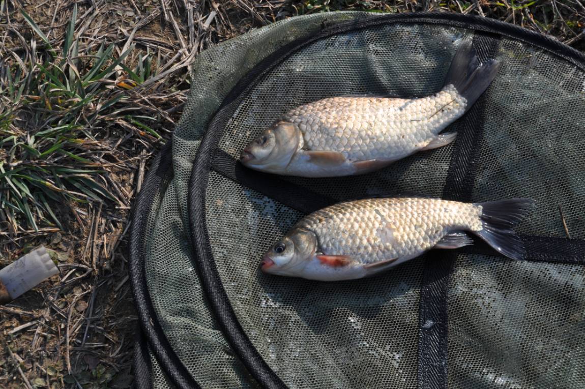 ������ ��Ȳ.JPG