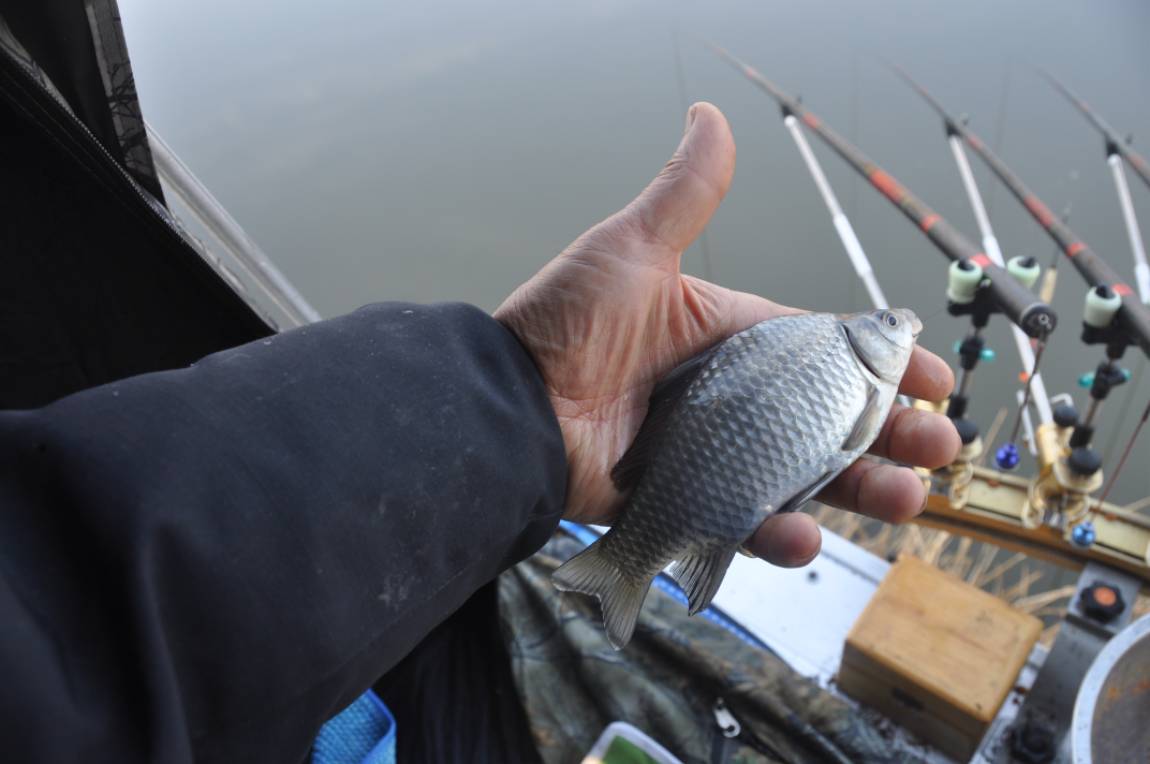 �̻� ���úؾ�.JPG