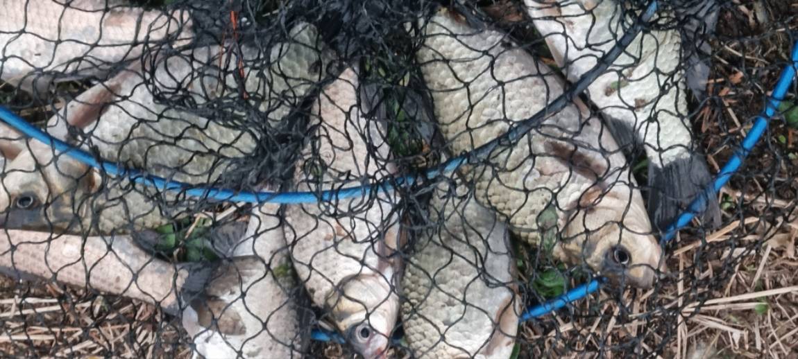 20260401_183922.jpg