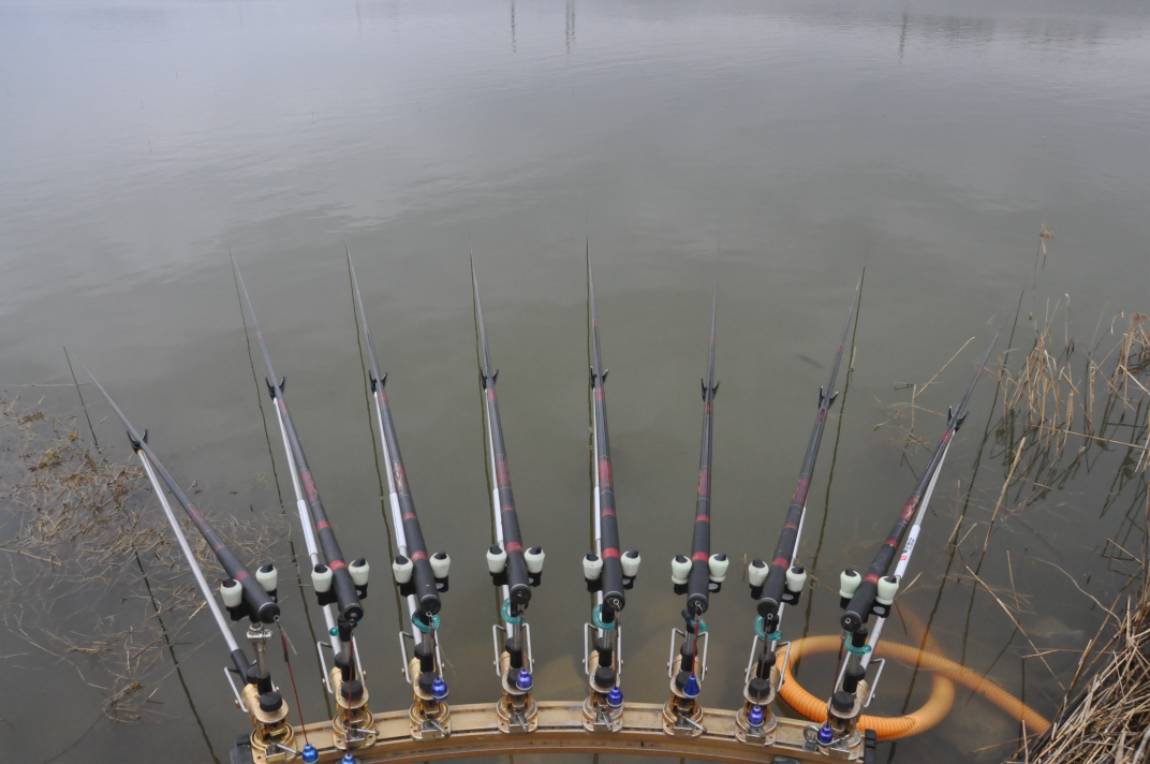30���� 38��� 8������.JPG