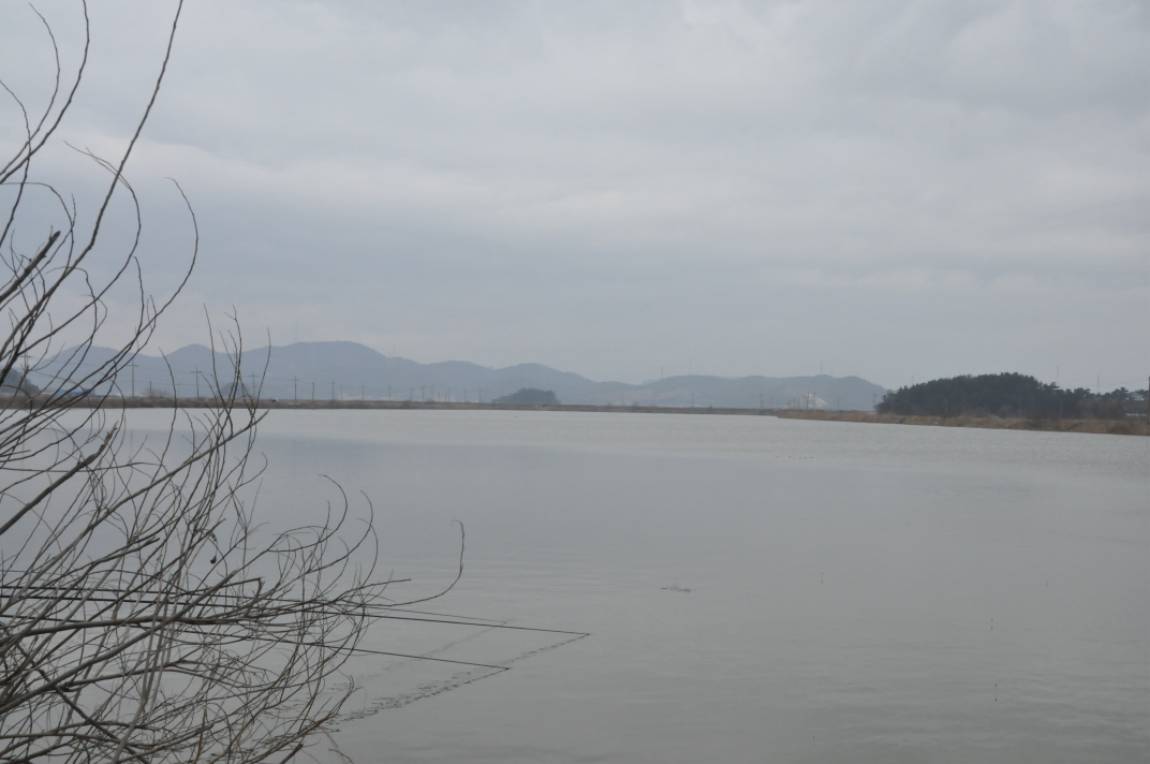 DSC_0040.JPG