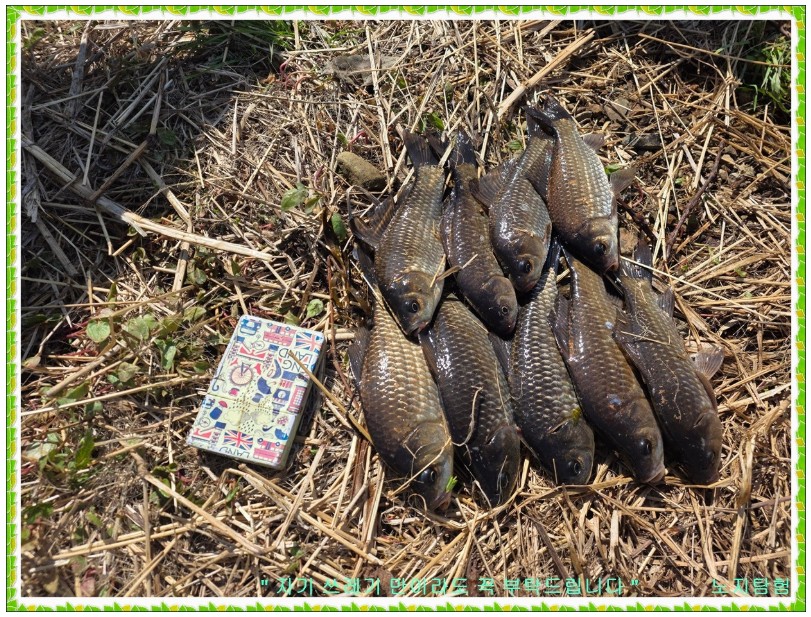 Screenshot 2026-04-14 at 09.44.18.JPG