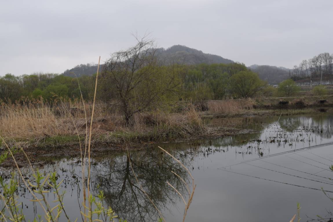 DSC_1574.JPG