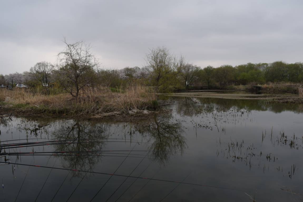 DSC_1575.JPG