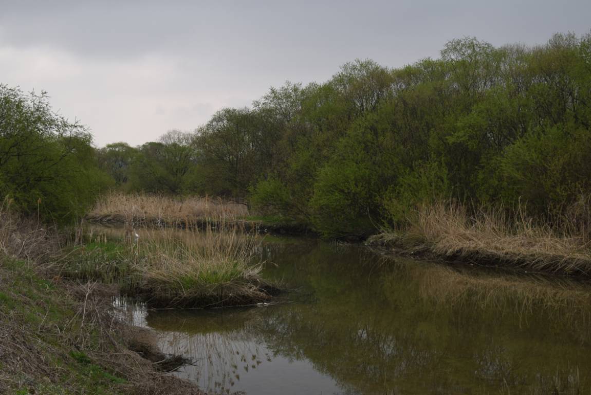 DSC_1589.JPG