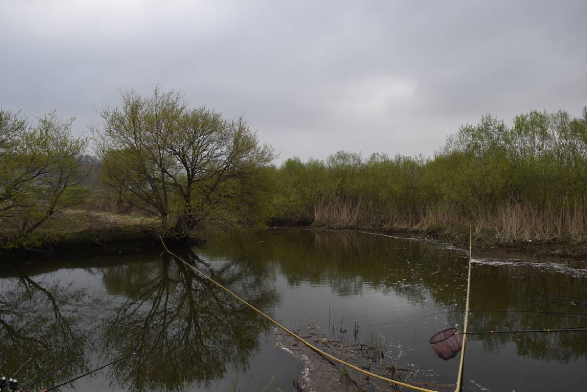 DSC_1595.JPG