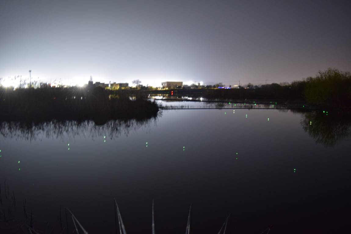 DSC_1638.JPG