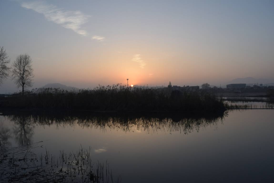 DSC_1644.JPG