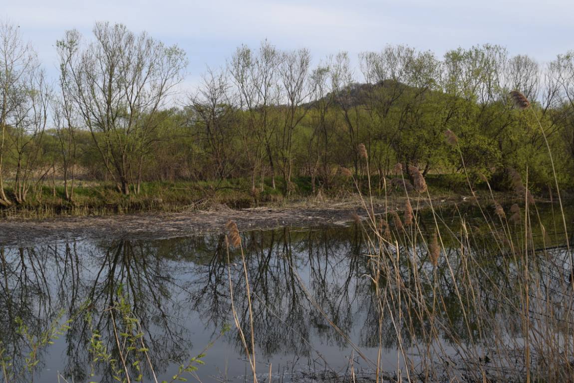DSC_1704.JPG