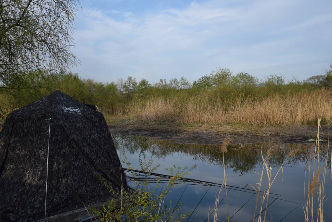 DSC_1705.JPG