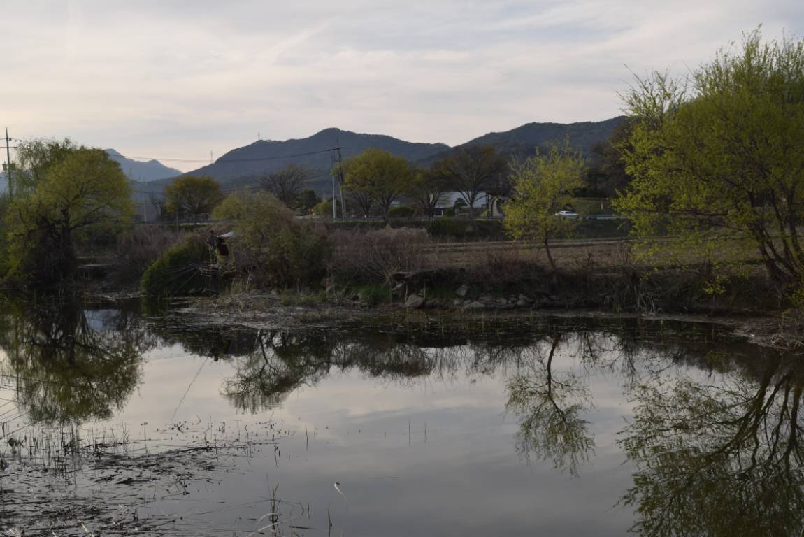 DSC_1709.JPG