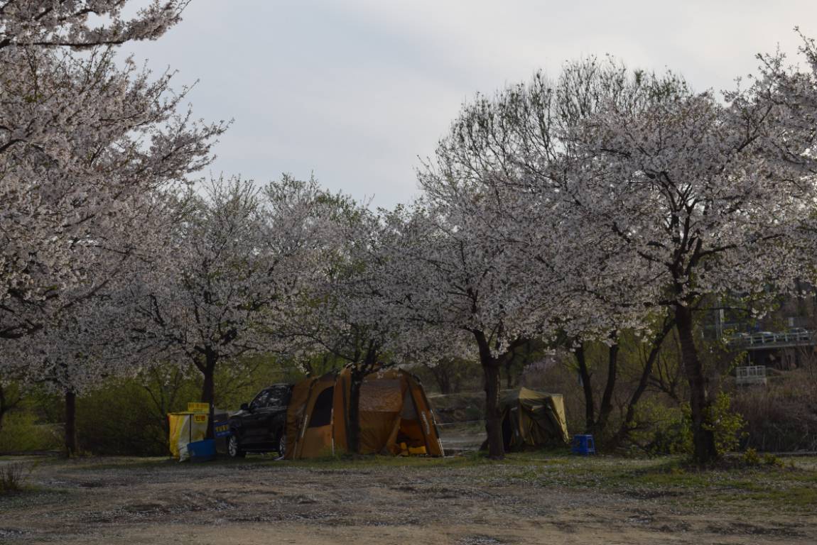 DSC_1711.JPG