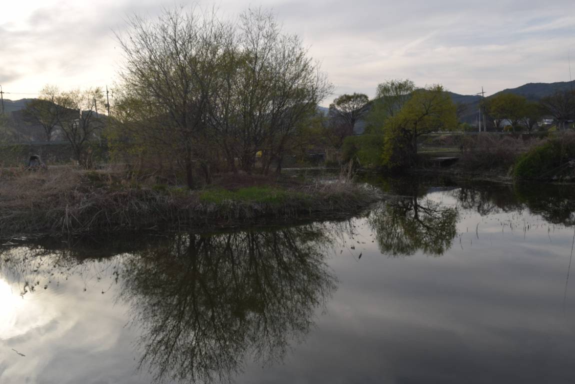 DSC_1712.JPG
