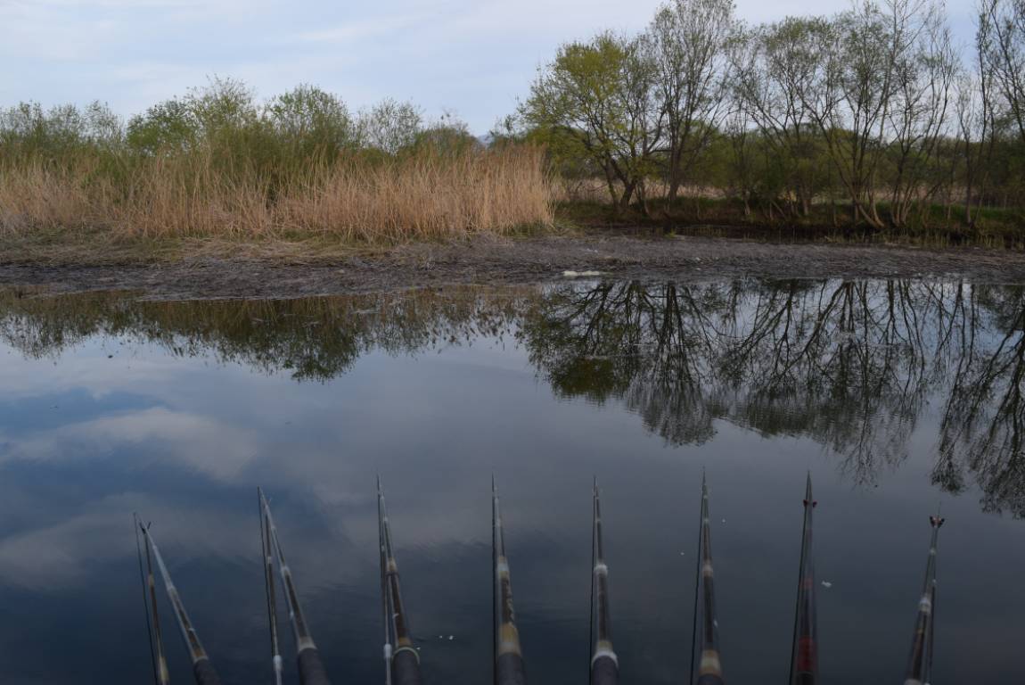 DSC_1715.JPG