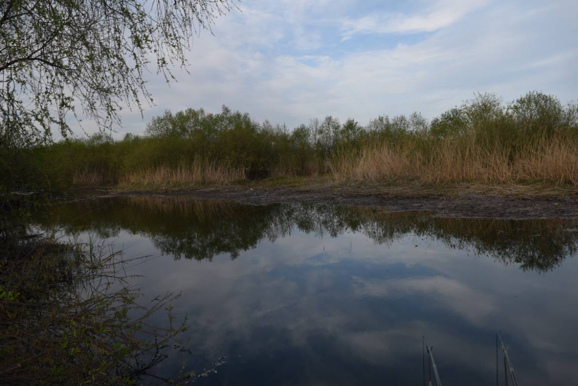 DSC_1716.JPG