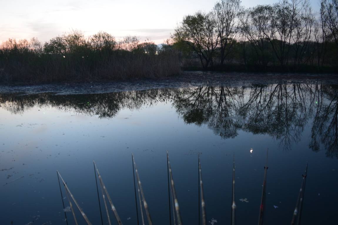 DSC_1726.JPG