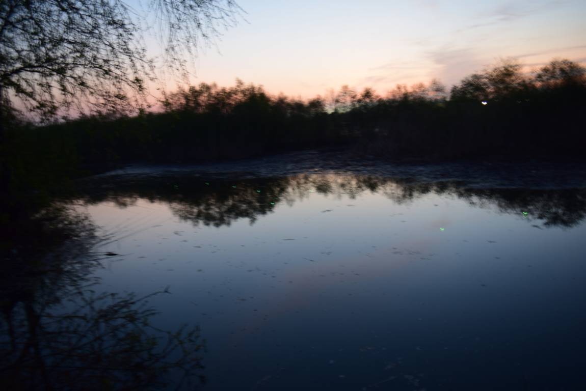 DSC_1728.JPG
