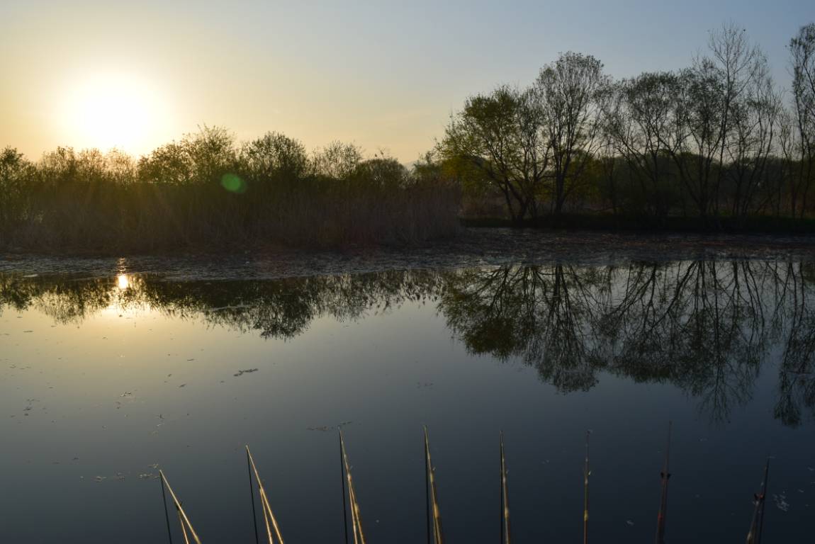 DSC_1729.JPG