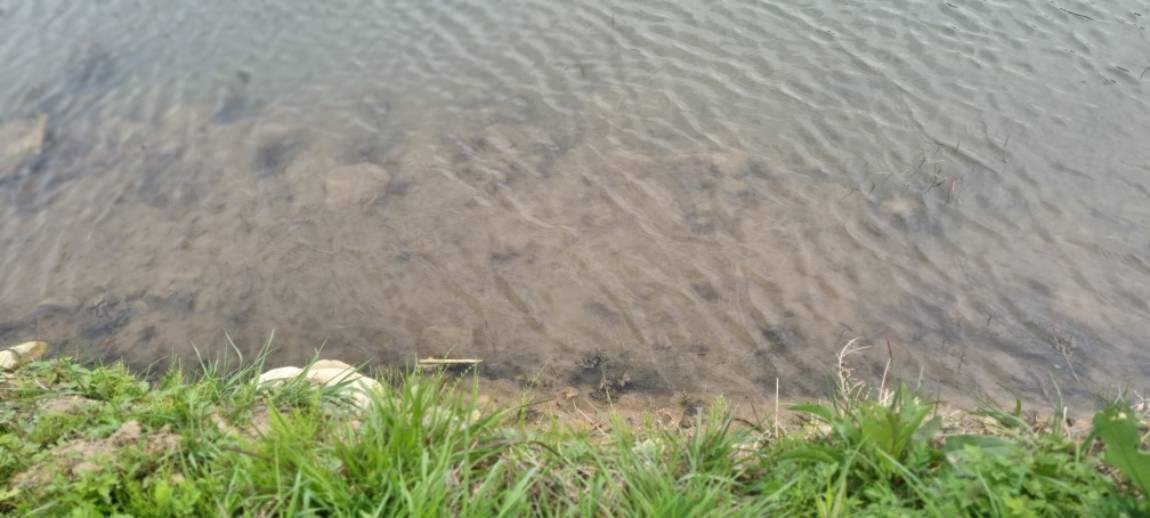 20260417_103105.jpg