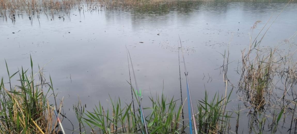 20260417_121311.jpg