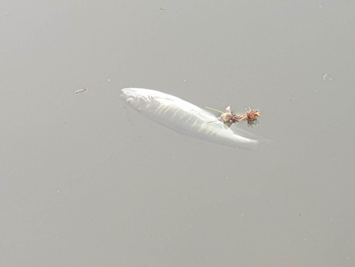 20260423_160823.jpg