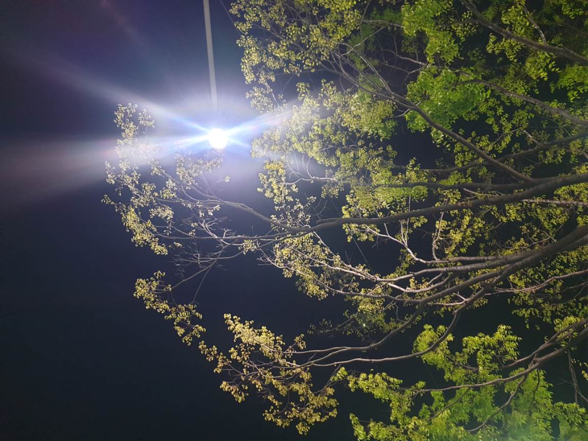 20260422_230648.jpg
