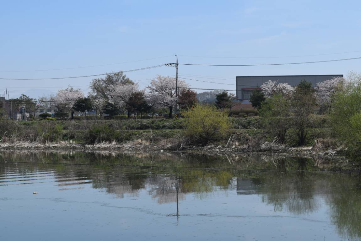 DSC_1693.JPG