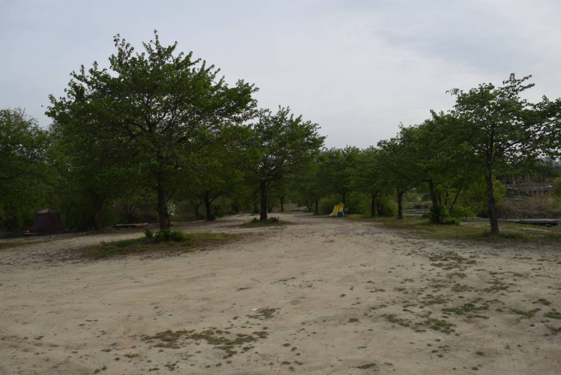 DSC_1735.JPG