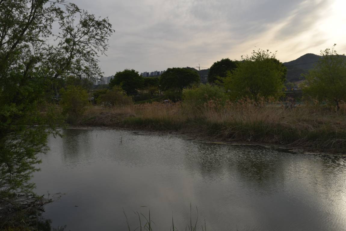 DSC_1736.JPG
