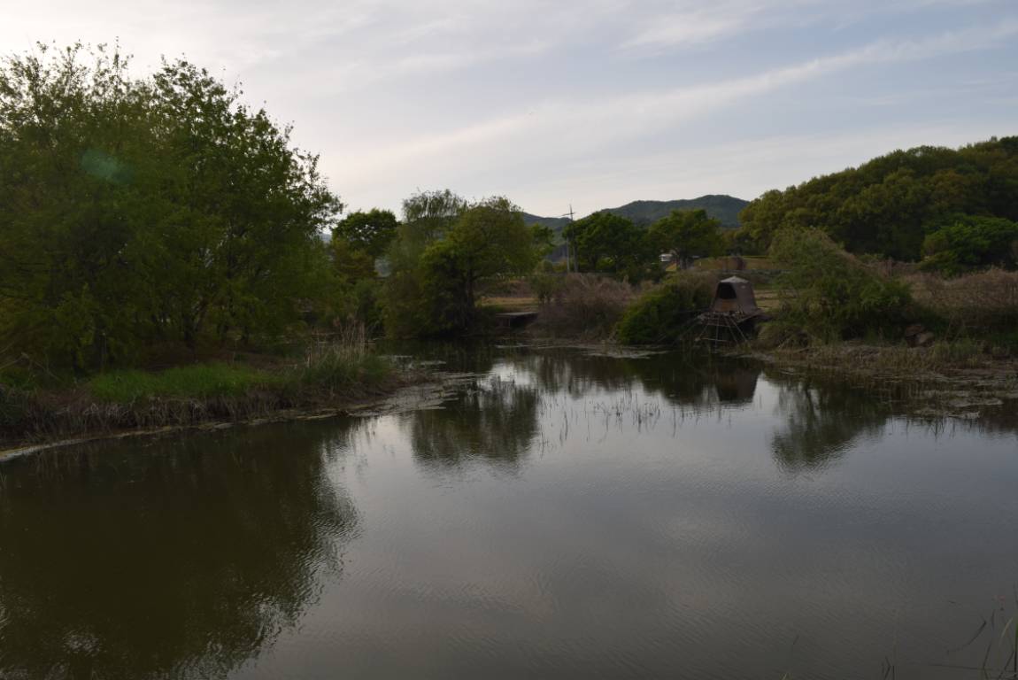 DSC_1737.JPG