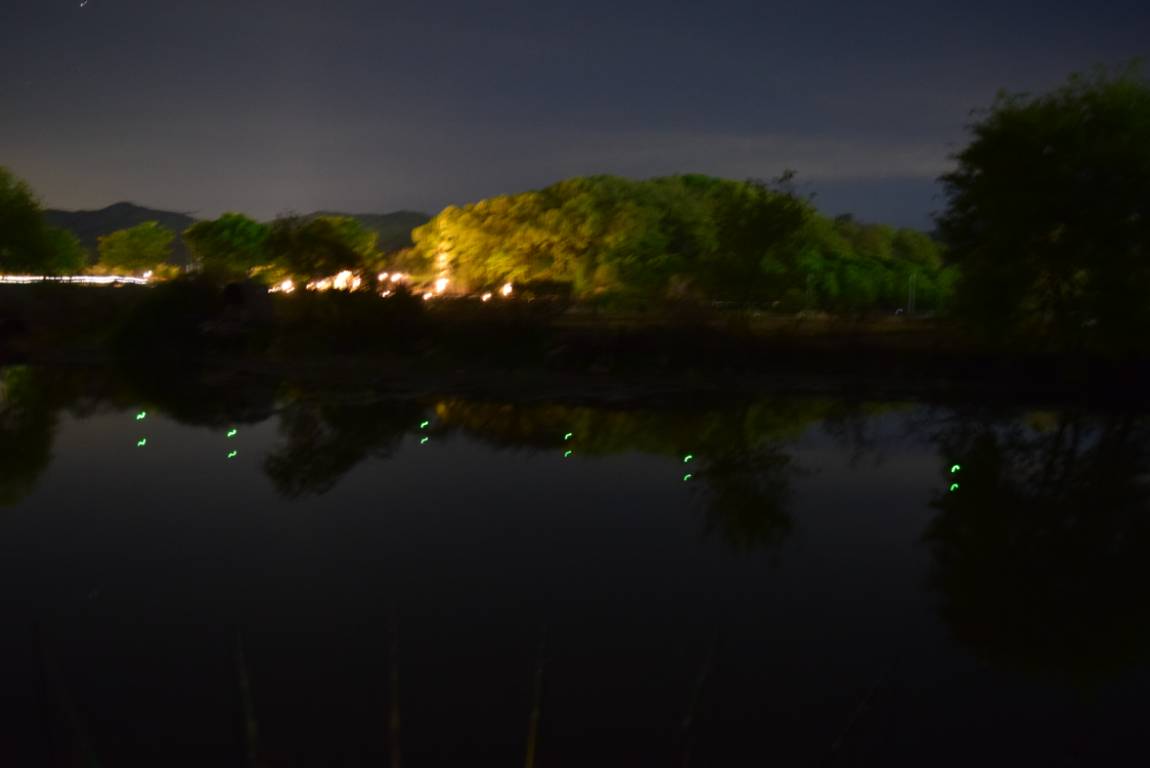 DSC_1741.JPG