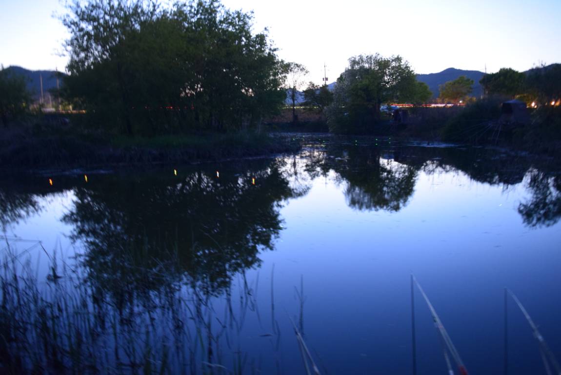 DSC_1769.JPG