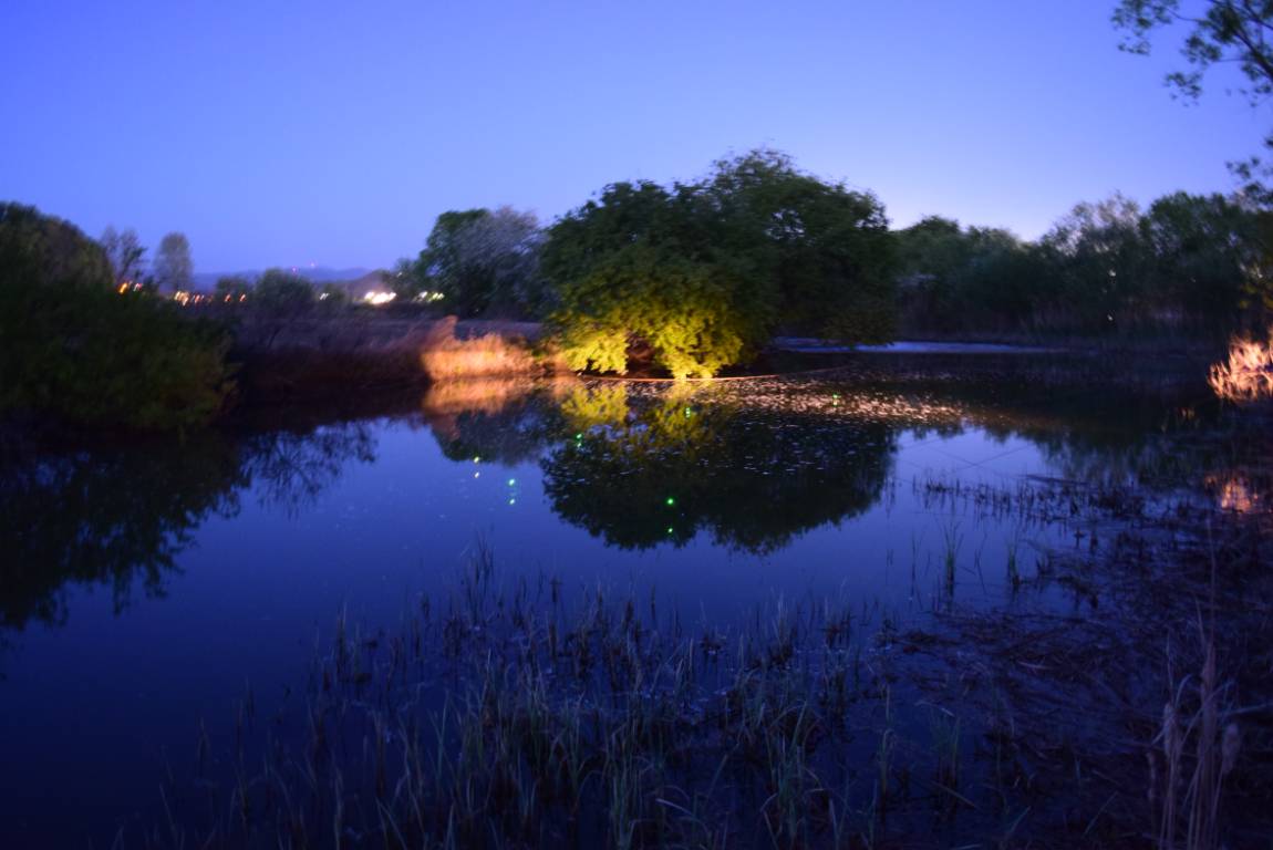 DSC_1770.JPG