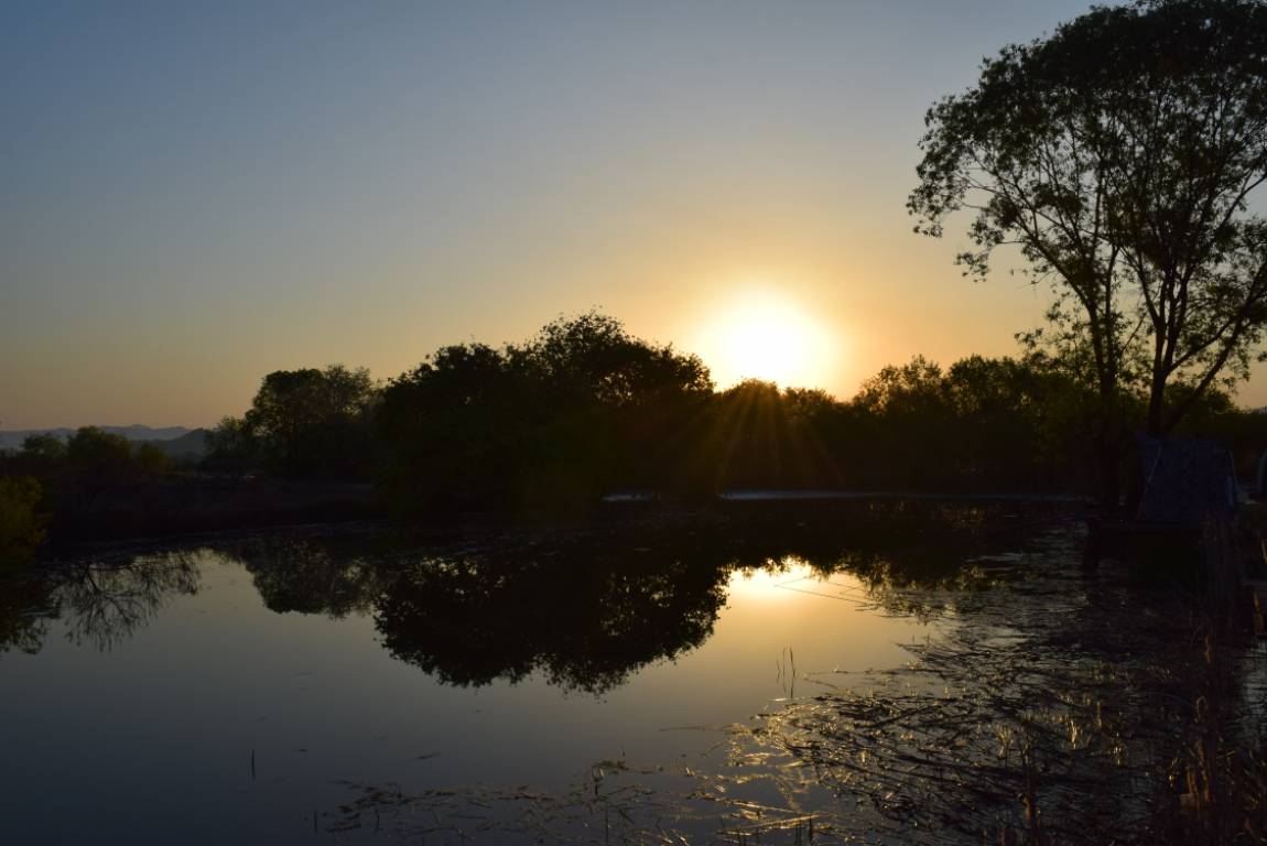 DSC_1773.JPG