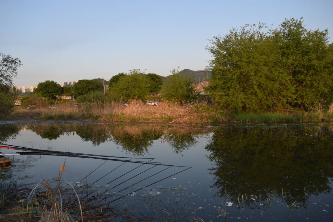 DSC_1775.JPG