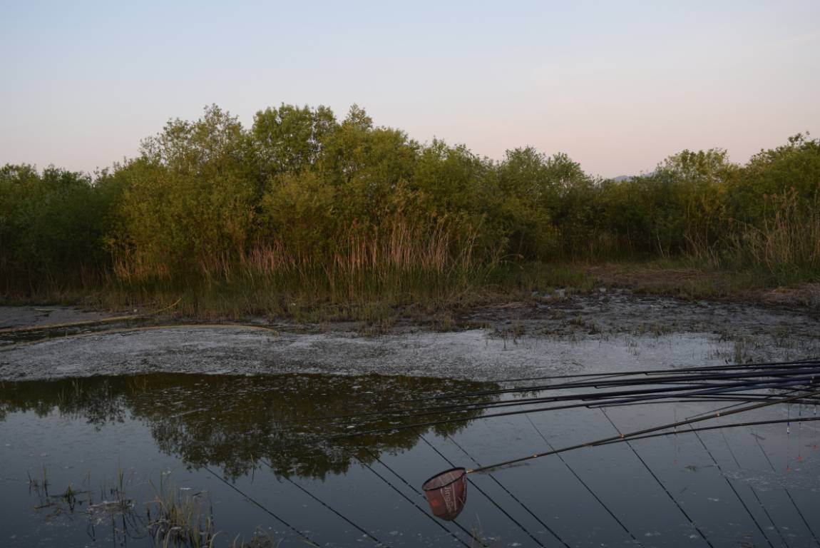 DSC_1777.JPG