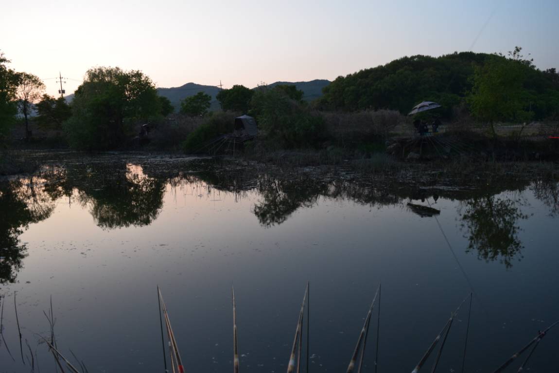 DSC_1780.JPG