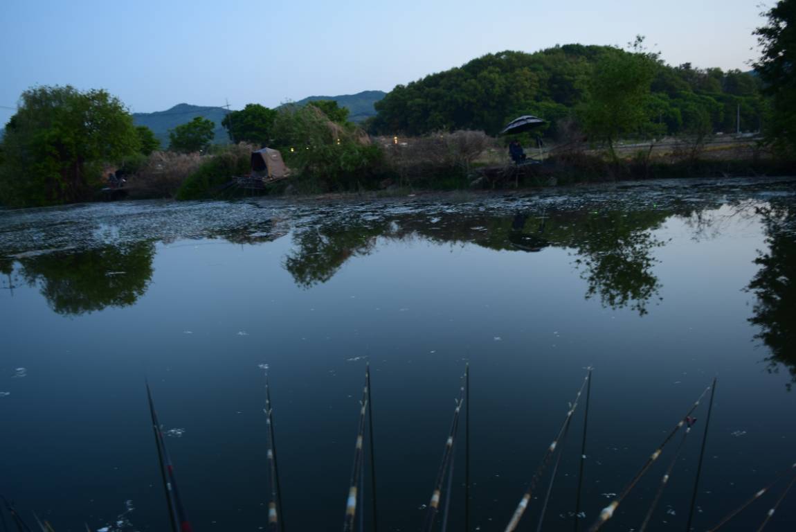 DSC_1784.JPG