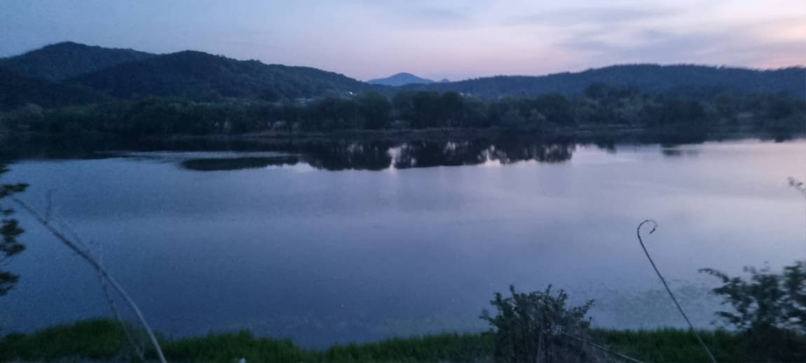 20260427_051812.jpg