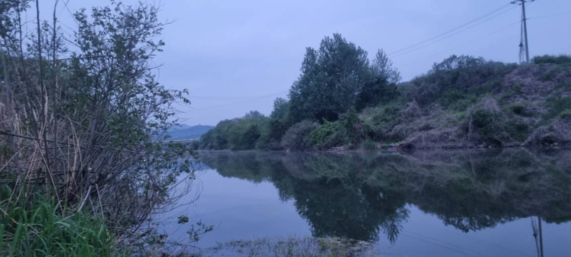 20260430_052404.jpg